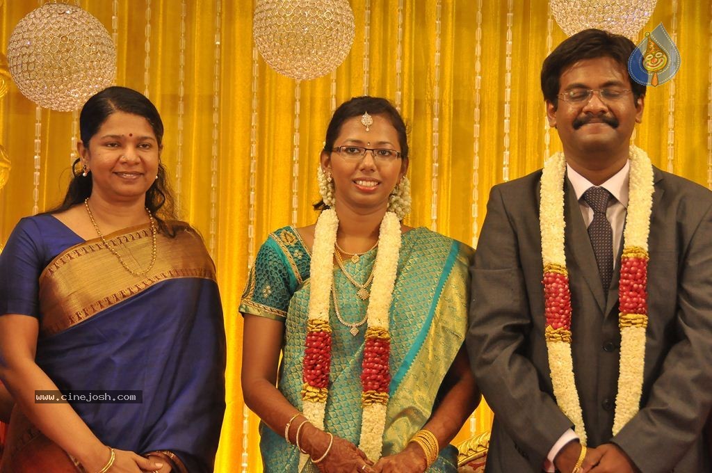 Director SP Muthuraman Family Wedding Reception - 15 / 69 photos