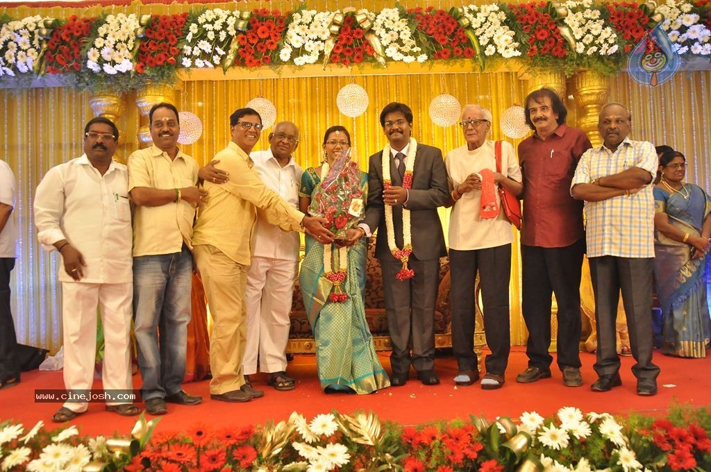 Director SP Muthuraman Family Wedding Reception - 16 / 69 photos