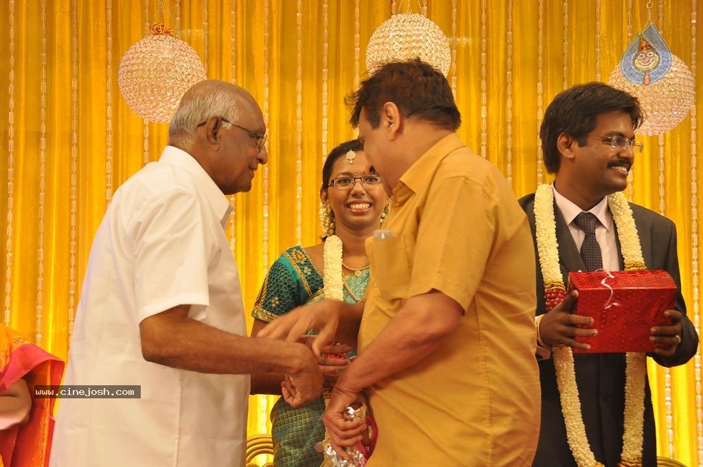 Director SP Muthuraman Family Wedding Reception - 17 / 69 photos