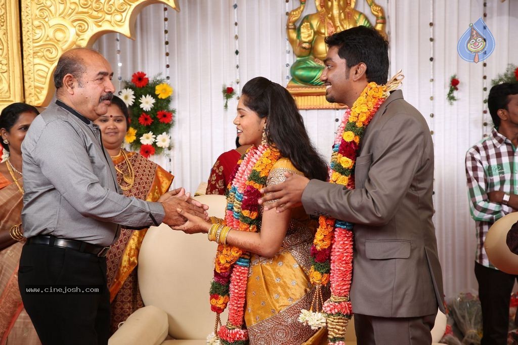 DOP Priyan Daughter Wedding Reception - 8 / 46 photos