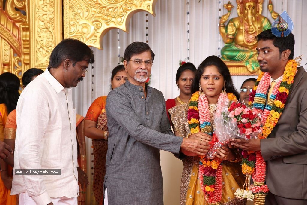 DOP Priyan Daughter Wedding Reception - 16 / 46 photos