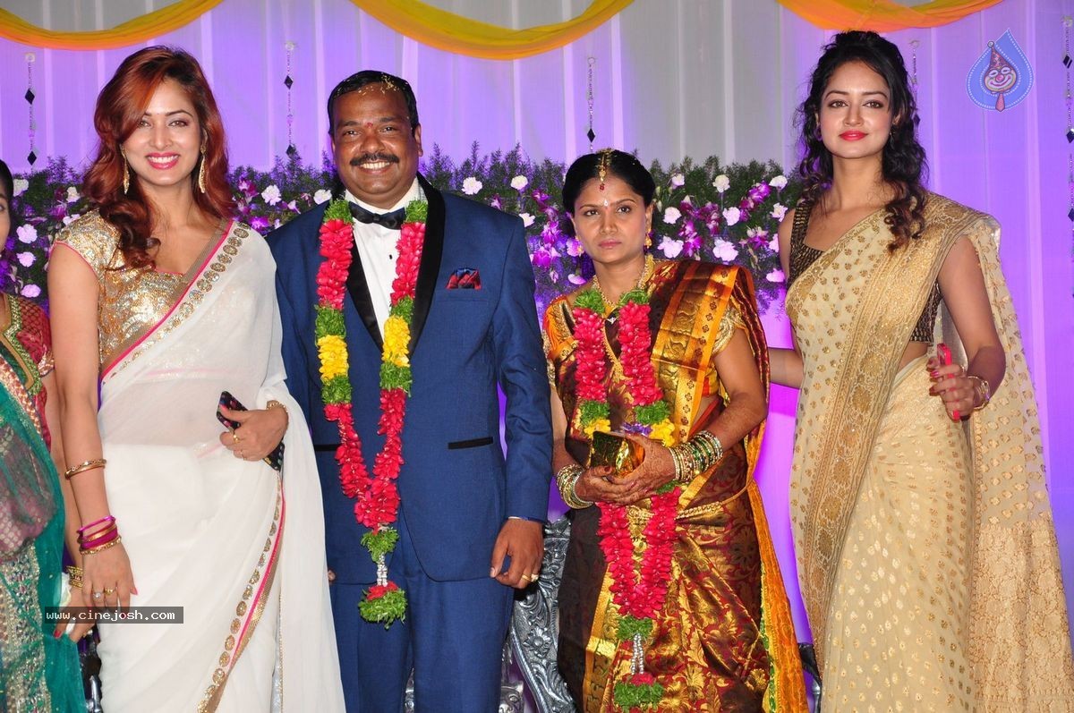 Harinath - Krishnaveni Wedding Reception - 128 / 151 photos
