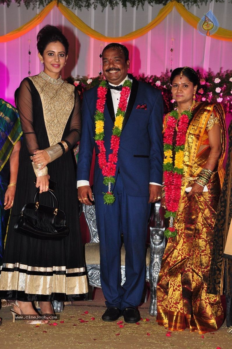 Harinath - Krishnaveni Wedding Reception - 143 / 151 photos