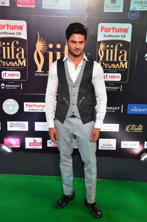 IIFA Utsavam 2017 Awards 3 (Day2) - 8 / 64 photos