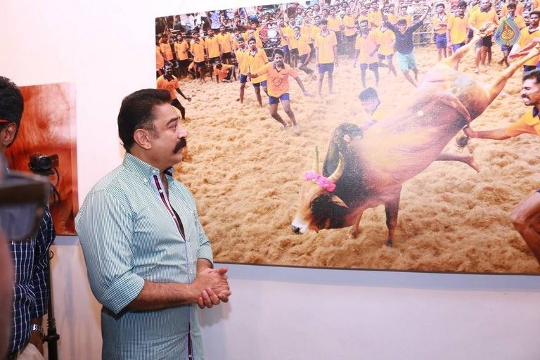 Jallikattu Photo Exhibition Opening - 20 / 23 photos