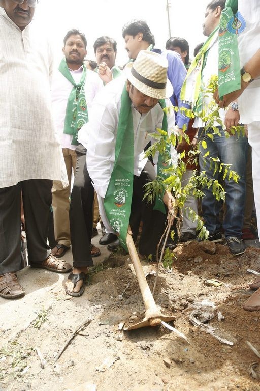 MAA Haritha Haram Event Photos - 6 / 21 photos