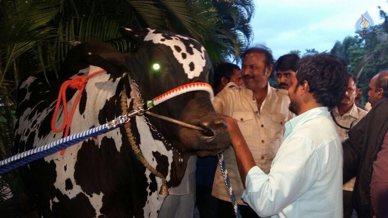 Mohan Babu visited Bull Show Event - 21 / 21 photos