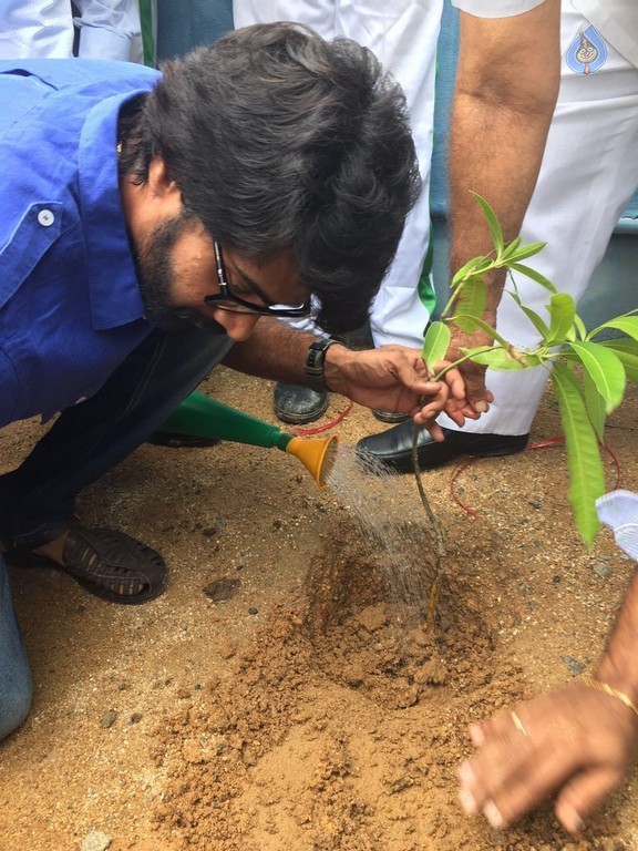 Naveen Chandra Participates Haritha Haram  - 4 / 7 photos