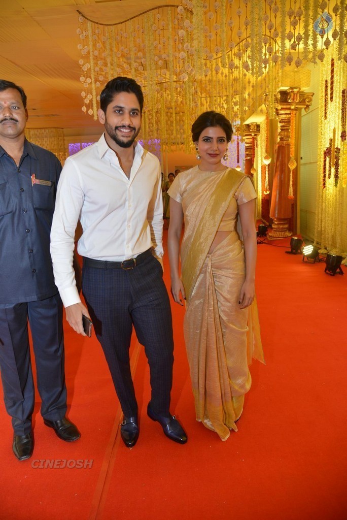 Nimmagadda Prasad Daughter Wedding 1 - 13 / 83 photos