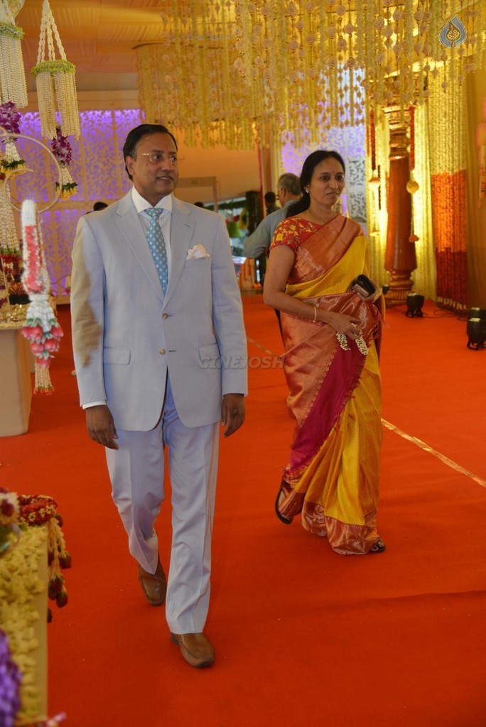 Nimmagadda Prasad Daughter Wedding Photos 2 - 8 / 78 photos