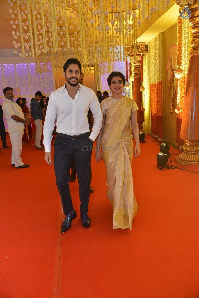 Nimmagadda Prasad Daughter Wedding Photos 2 - 18 / 78 photos