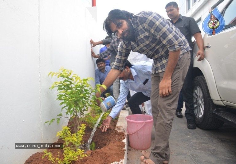 Pawan Kalyan Accepts Haritha Haram Challenge - 5 / 8 photos