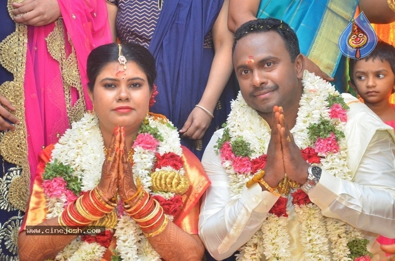 Producer M Ramanathan Daughter Wedding Photos - 3 / 12 photos