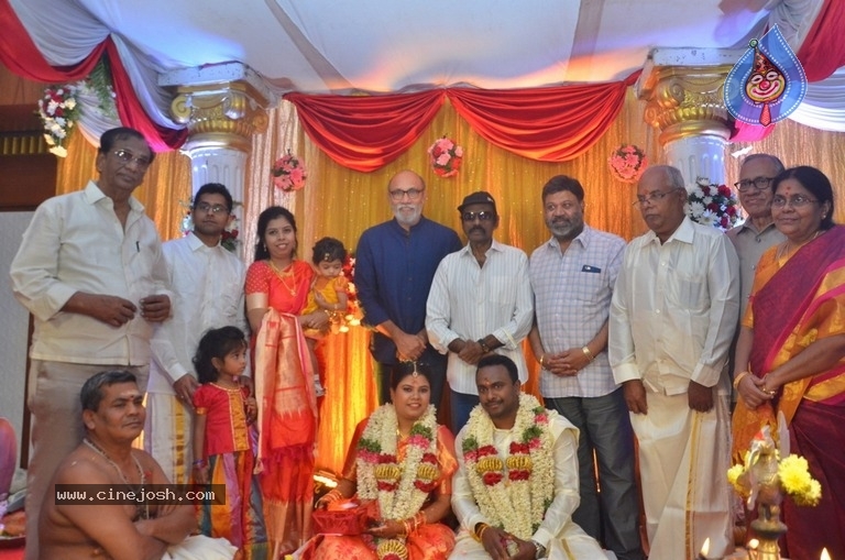 Producer M Ramanathan Daughter Wedding Photos - 4 / 12 photos