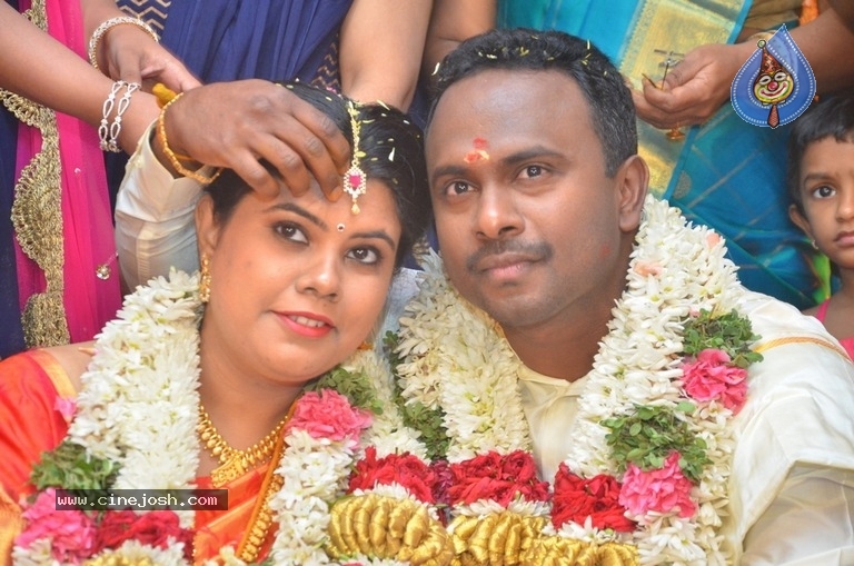 Producer M Ramanathan Daughter Wedding Photos - 5 / 12 photos