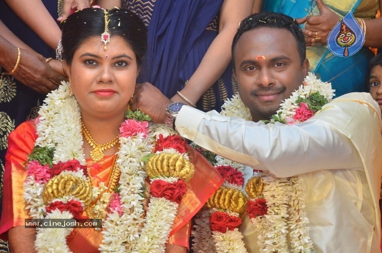 Producer M Ramanathan Daughter Wedding Photos - 7 / 12 photos