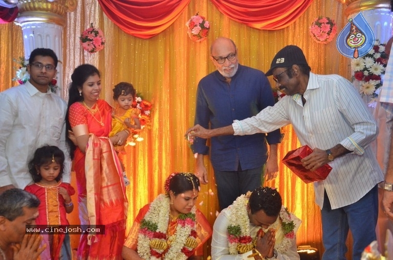 Producer M Ramanathan Daughter Wedding Photos - 10 / 12 photos