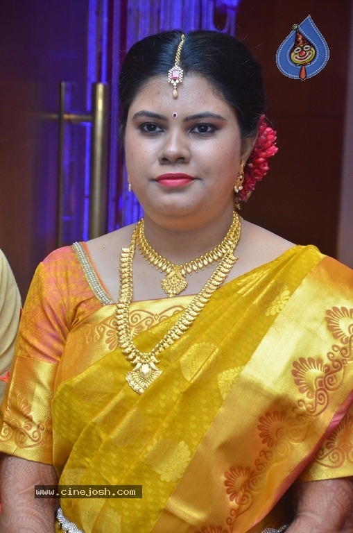 Producer M Ramanathan Daughter Wedding Photos - 12 / 12 photos