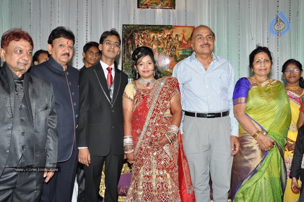 Producer Paras Jain Daughter Wedding Photos - 11 / 27 photos