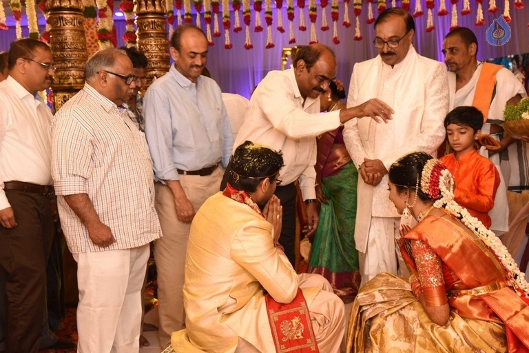 Puskur Rammohan Rao Daughter Wedding Photos - 9 / 47 photos