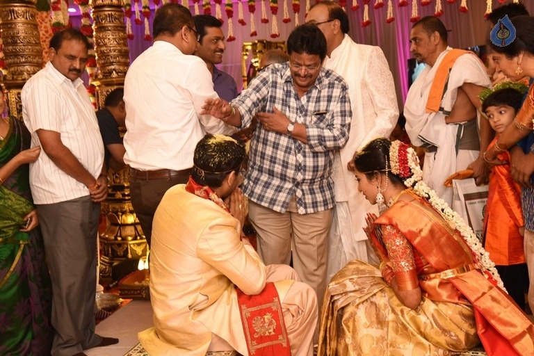 Puskur Rammohan Rao Daughter Wedding Photos - 10 / 47 photos