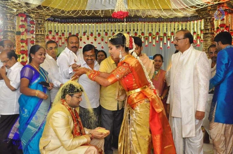 Puskur Rammohan Rao Daughter Wedding Photos - 12 / 47 photos