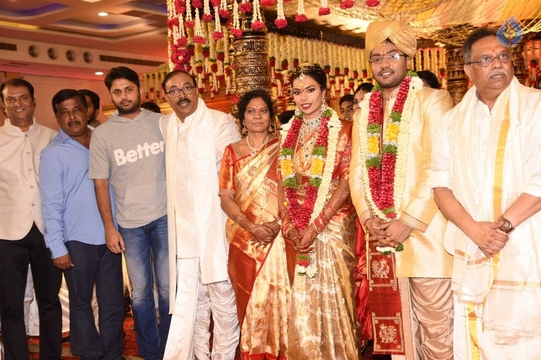 Puskur Rammohan Rao Daughter Wedding Photos - 15 / 47 photos