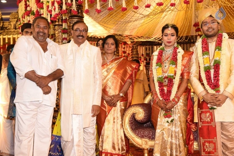 Puskur Rammohan Rao Daughter Wedding Photos - 20 / 47 photos