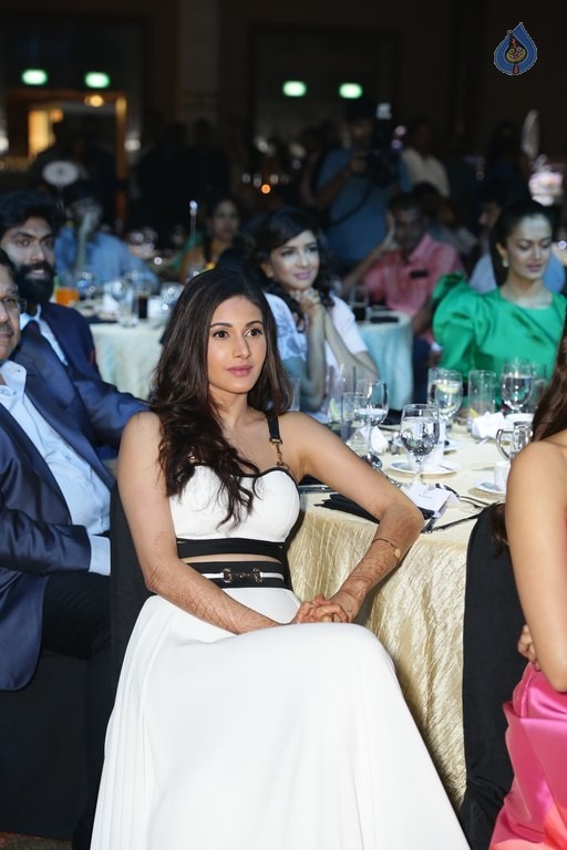 South Indian Business Achievers Awards Photos - 11 / 28 photos