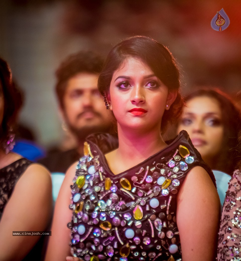 South Indian International Movie Awards 2014 - 5 / 255 photos