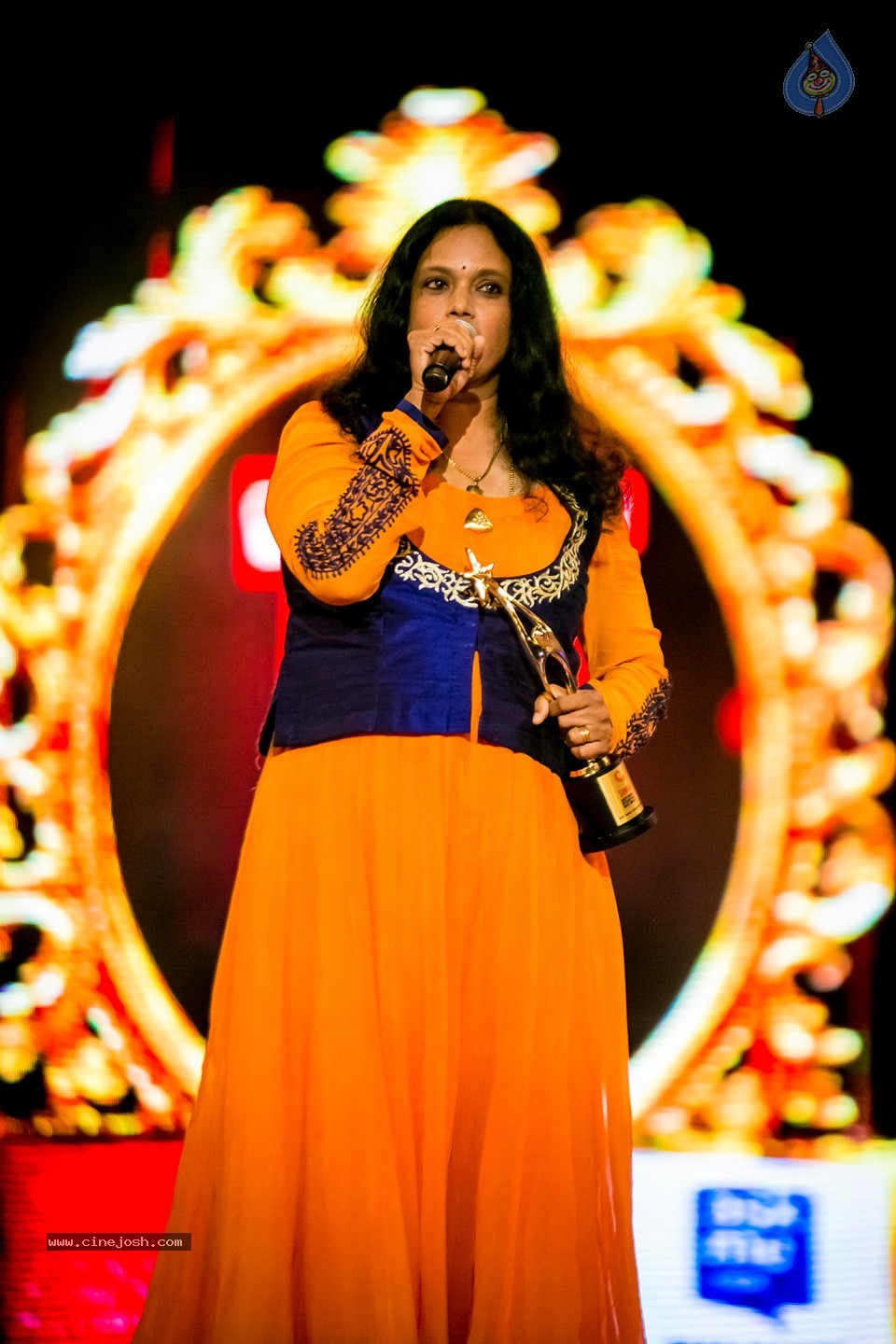 South Indian International Movie Awards 2014 - 16 / 255 photos