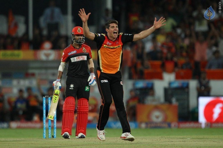 Sunrisers vs Royal Challengers Match Photos - 10 / 41 photos