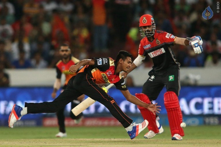 Sunrisers vs Royal Challengers Match Photos - 14 / 41 photos