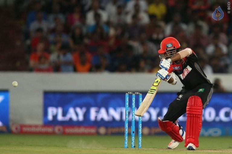 Sunrisers vs Royal Challengers Match Photos - 15 / 41 photos