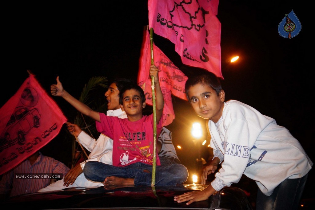 Telangana Formation Celebrations  - 20 / 319 photos