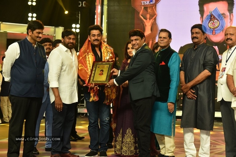 TSR National Film Awards - 7 / 45 photos