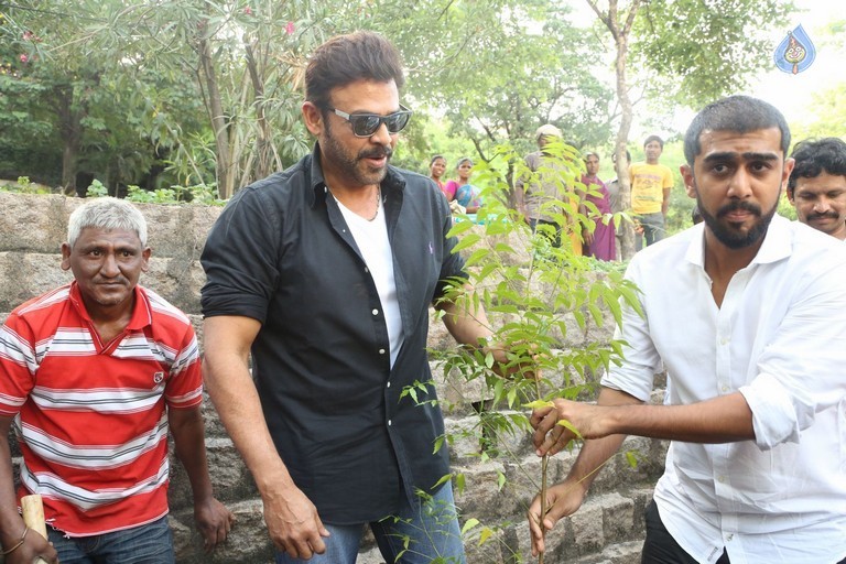 Venkatesh at Haritha Haram Program - 2 / 42 photos