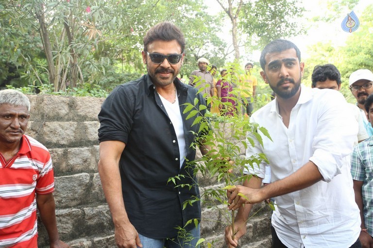 Venkatesh at Haritha Haram Program - 4 / 42 photos