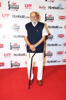 63rd Britannia Filmfare Awards South Event Photos - 12 of 59