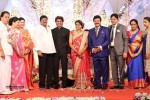 Aadi and Aruna Wedding Reception 03 - 8 of 235