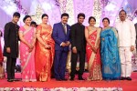 Aadi and Aruna Wedding Reception 03 - 14 of 235
