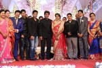 Aadi and Aruna Wedding Reception 03 - 75 of 235