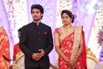 Aadi and Aruna Wedding Reception 03 - 97 of 235