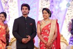 Aadi and Aruna Wedding Reception 03 - 104 of 235