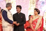Aadi and Aruna Wedding Reception 03 - 202 of 235