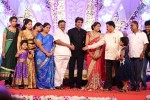 Aadi and Aruna Wedding Reception 04 - 13 of 49