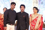 Aadi and Aruna Wedding Reception 02 - 166 of 170