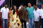 Actor Harish and Abinaya Wedding Reception - 4 of 35