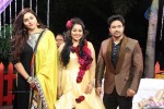 Actor Harish and Abinaya Wedding Reception - 8 of 35