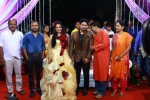 Actor Harish and Abinaya Wedding Reception - 11 of 35